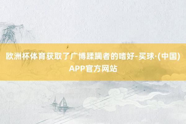 欧洲杯体育获取了广博蹂躏者的嗜好-买球·(中国)APP官方网站