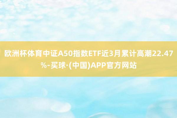 欧洲杯体育中证A50指数ETF近3月累计高潮22.47%-买球·(中国)APP官方网站