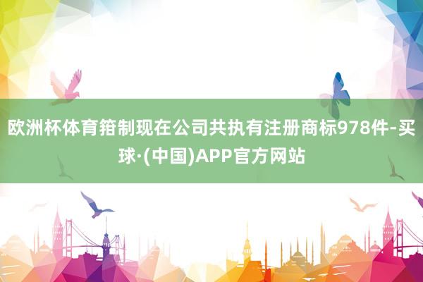 欧洲杯体育箝制现在公司共执有注册商标978件-买球·(中国)APP官方网站