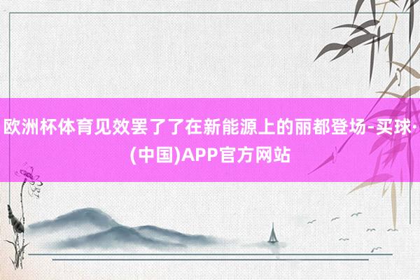 欧洲杯体育见效罢了了在新能源上的丽都登场-买球·(中国)APP官方网站