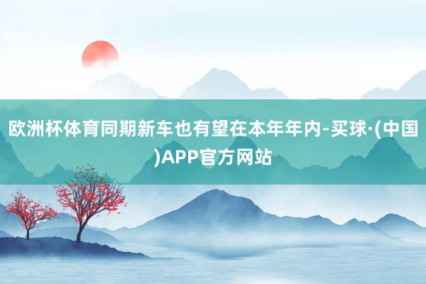 欧洲杯体育同期新车也有望在本年年内-买球·(中国)APP官方网站