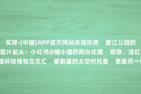 买球·(中国)APP官方网站依湖环绕 鹿江公园的落羽杉正悄然转机 图片起头:小红书@糖小猫的阳台花圃 翠绿、浅红、深红、金黄 各色细碎枝桠相互交汇 被蔚蓝的太空衬托