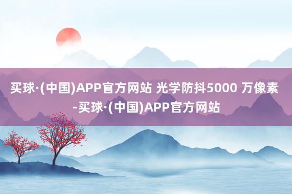 买球·(中国)APP官方网站 光学防抖5000 万像素 -买球·(中国)APP官方网站