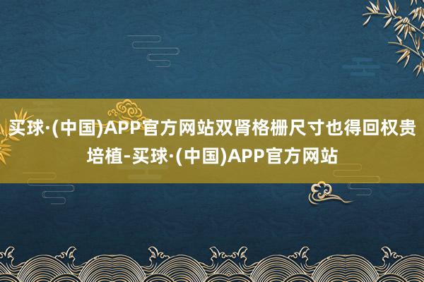 买球·(中国)APP官方网站双肾格栅尺寸也得回权贵培植-买球·(中国)APP官方网站