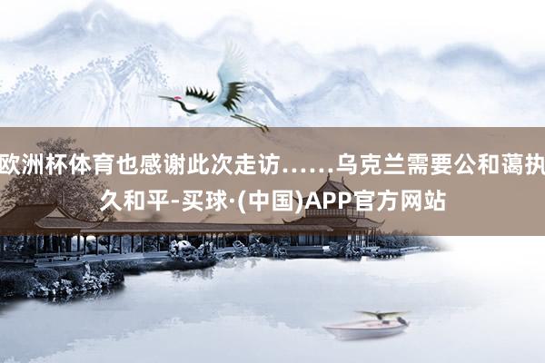 欧洲杯体育也感谢此次走访……乌克兰需要公和蔼执久和平-买球·(中国)APP官方网站
