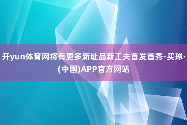 开yun体育网将有更多新址品新工夫首发首秀-买球·(中国)APP官方网站