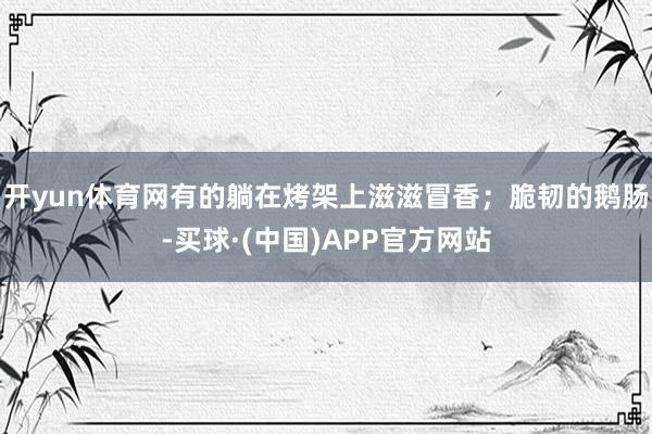 开yun体育网有的躺在烤架上滋滋冒香;脆韧的鹅肠-买球·(中国)APP官方网站
