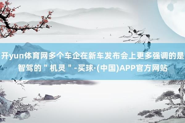 开yun体育网多个车企在新车发布会上更多强调的是智驾的＂机灵＂-买球·(中国)APP官方网站
