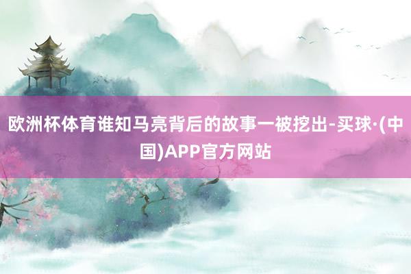 欧洲杯体育谁知马亮背后的故事一被挖出-买球·(中国)APP官方网站