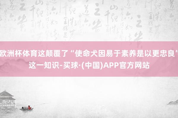 欧洲杯体育这颠覆了“使命犬因易于素养是以更忠良”这一知识-买球·(中国)APP官方网站