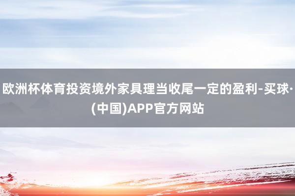 欧洲杯体育投资境外家具理当收尾一定的盈利-买球·(中国)APP官方网站