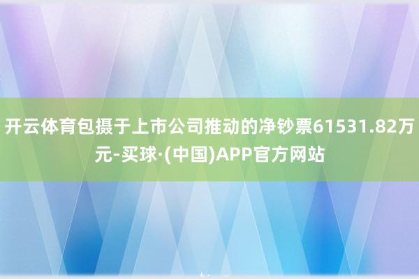 开云体育包摄于上市公司推动的净钞票61531.82万元-买球·(中国)APP官方网站