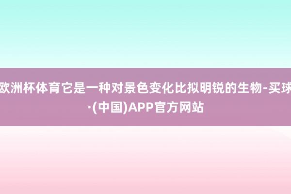 欧洲杯体育它是一种对景色变化比拟明锐的生物-买球·(中国)APP官方网站