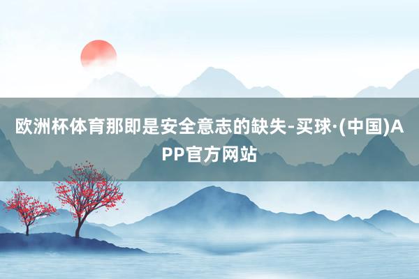 欧洲杯体育那即是安全意志的缺失-买球·(中国)APP官方网站