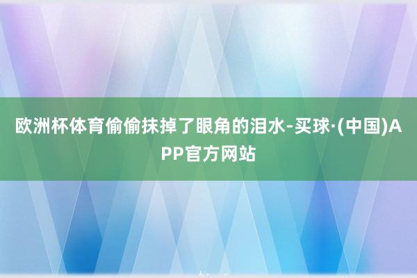 欧洲杯体育偷偷抹掉了眼角的泪水-买球·(中国)APP官方网站