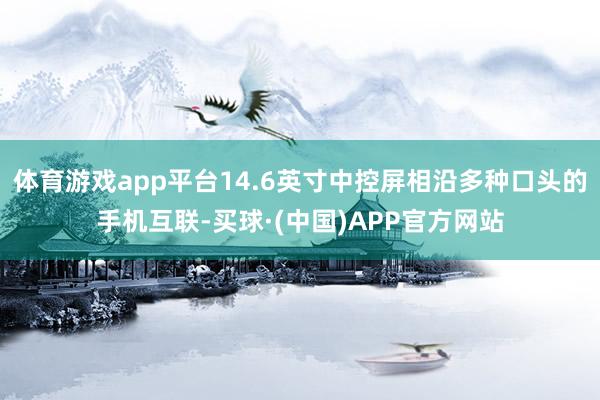 体育游戏app平台14.6英寸中控屏相沿多种口头的手机互联-买球·(中国)APP官方网站