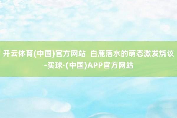 开云体育(中国)官方网站  白鹿落水的萌态激发烧议-买球·(中国)APP官方网站