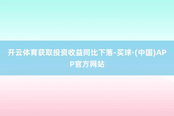开云体育获取投资收益同比下落-买球·(中国)APP官方网站