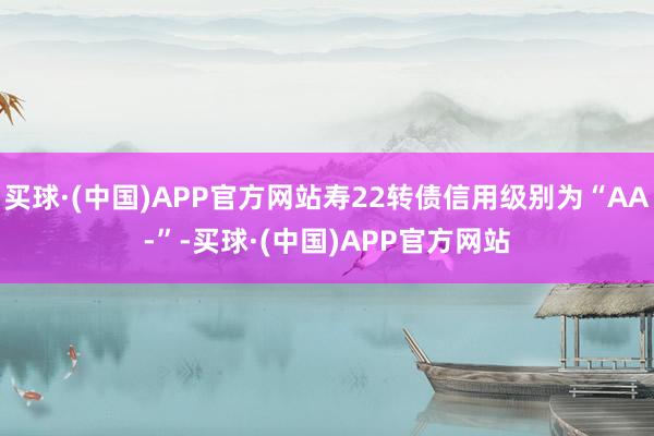 买球·(中国)APP官方网站寿22转债信用级别为“AA-”-买球·(中国)APP官方网站