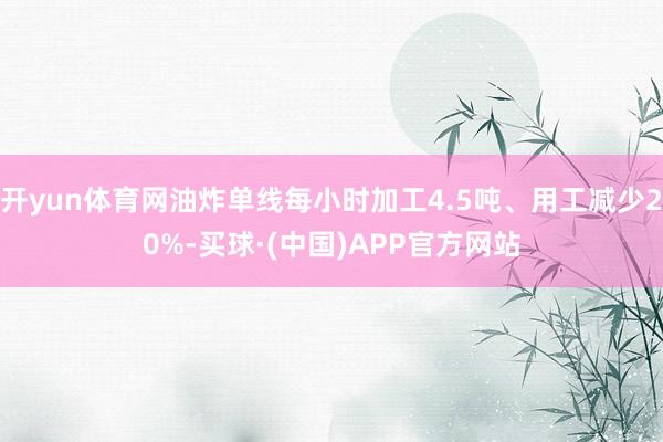开yun体育网油炸单线每小时加工4.5吨、用工减少20%-买球·(中国)APP官方网站