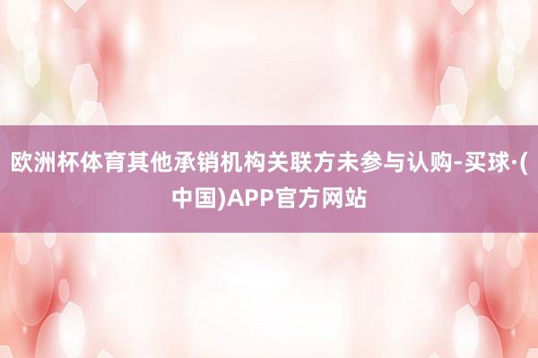 欧洲杯体育其他承销机构关联方未参与认购-买球·(中国)APP官方网站